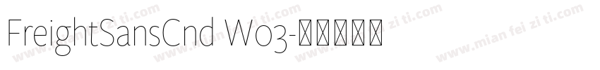 FreightSansCnd W03字体转换